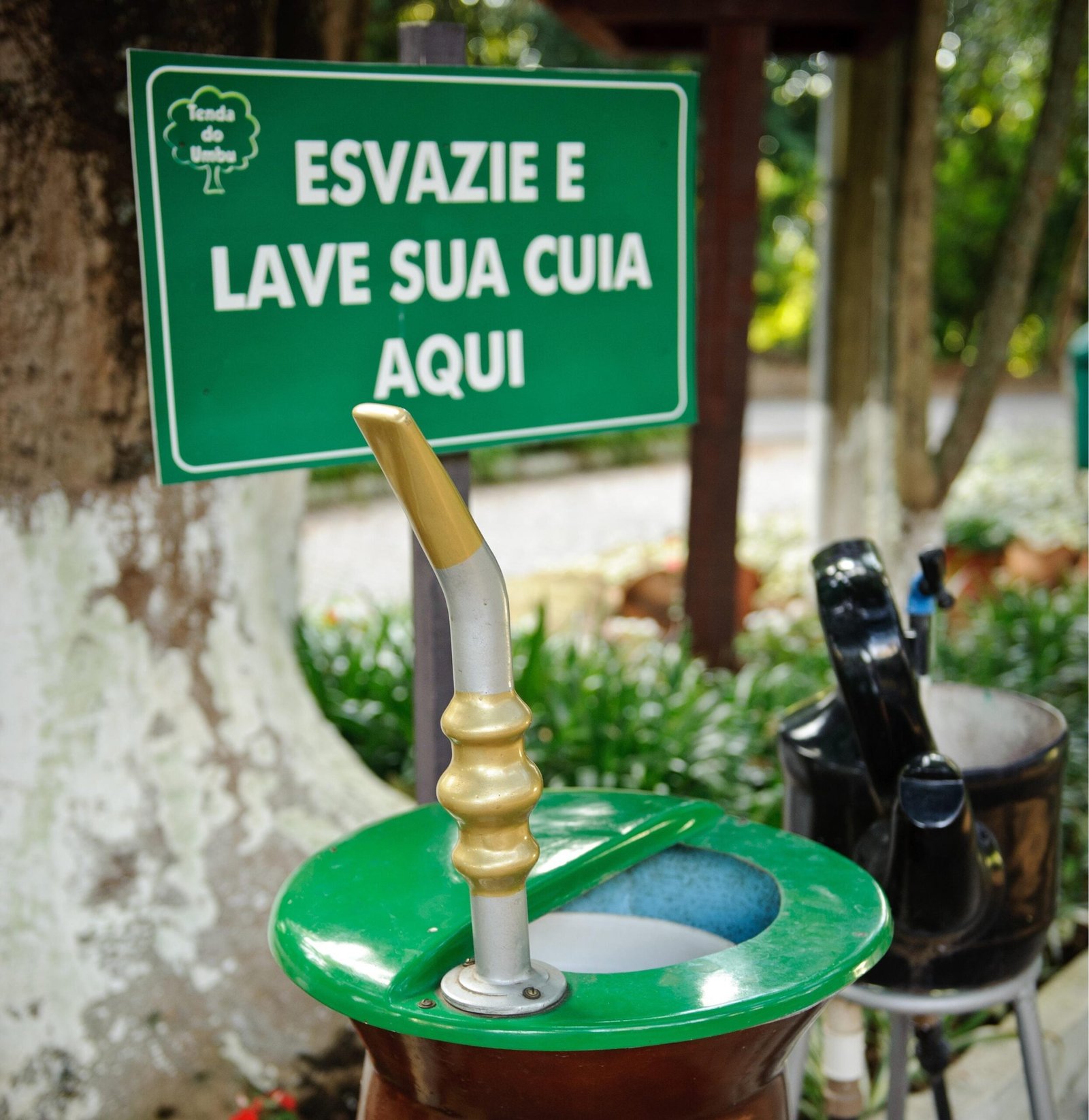 A tradição do chimarrão