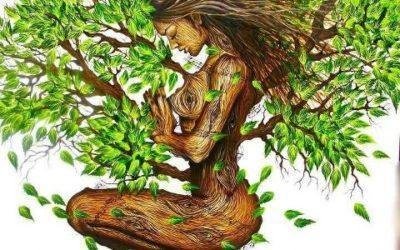A mulher é a verdadeira Árvore da Vida