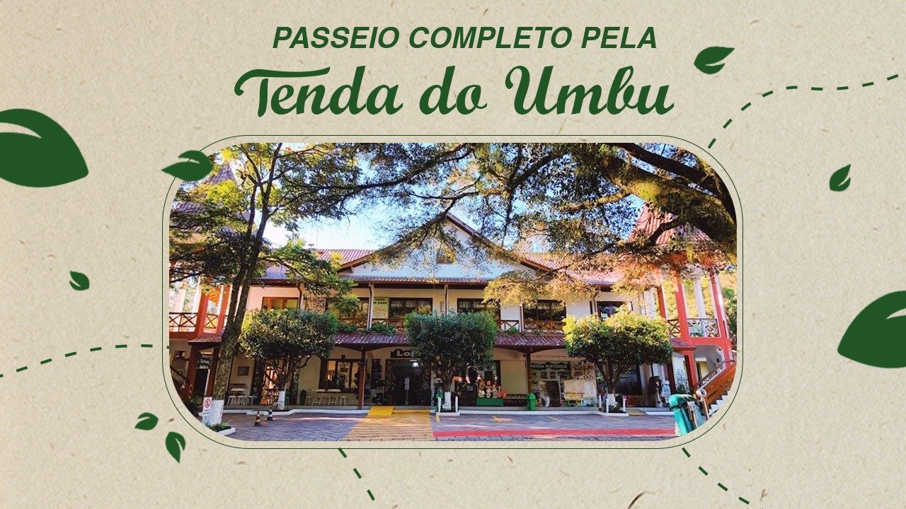 Arquivos Curiosidades - Tenda do Umbu - A parada obrigatória da BR 116!