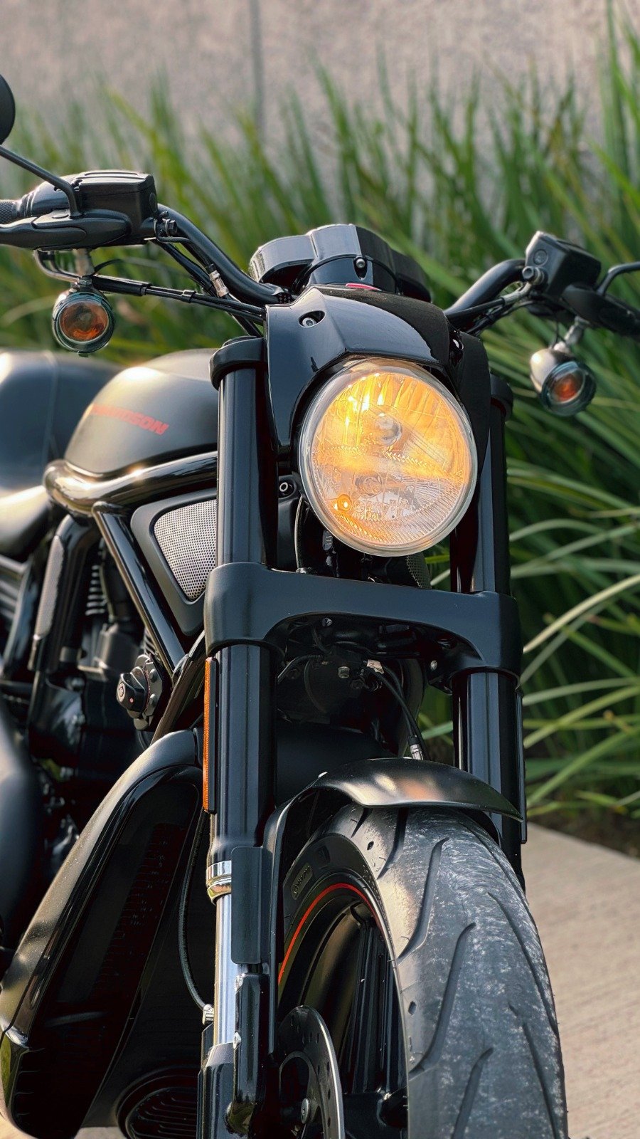 HARLEY DAVIDSON NIGHT ROD SPECIAL 2014 - Imagem 3
