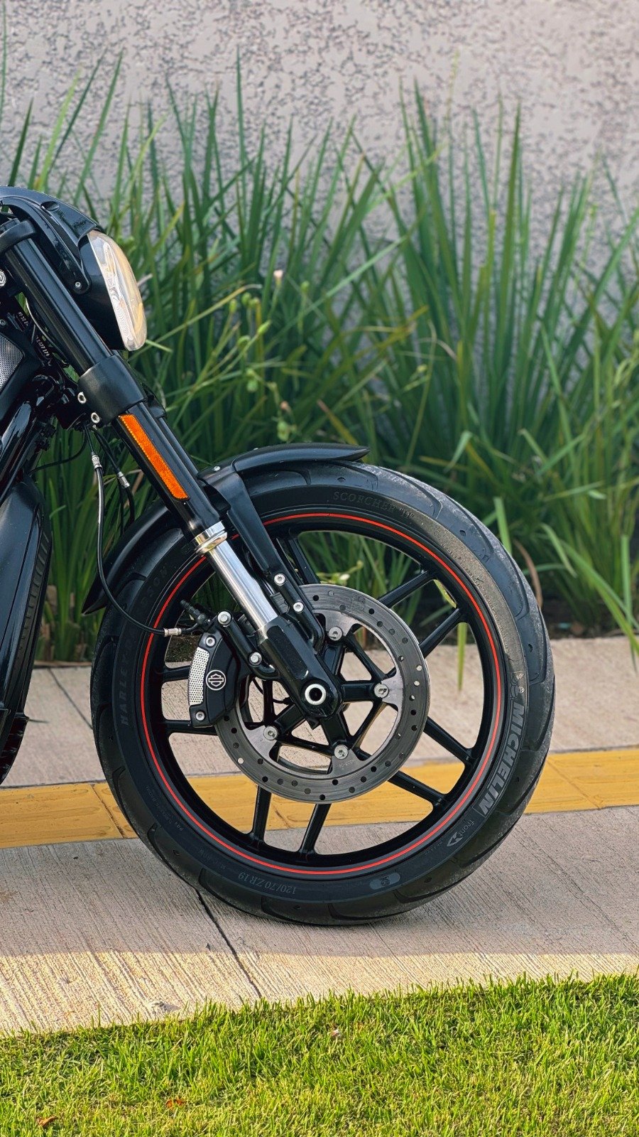 HARLEY DAVIDSON NIGHT ROD SPECIAL 2014 - Imagem 5