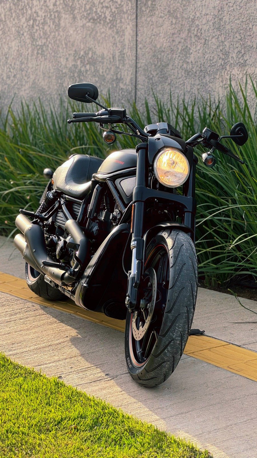 HARLEY DAVIDSON NIGHT ROD SPECIAL 2014