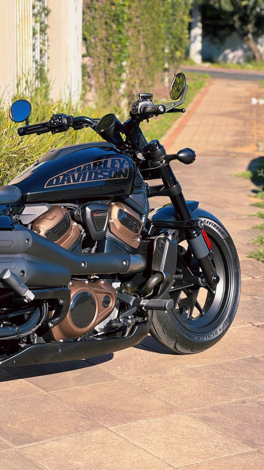 HARLEY DAVIDSON SPORTSTER S 1250 2024 - Imagem 8