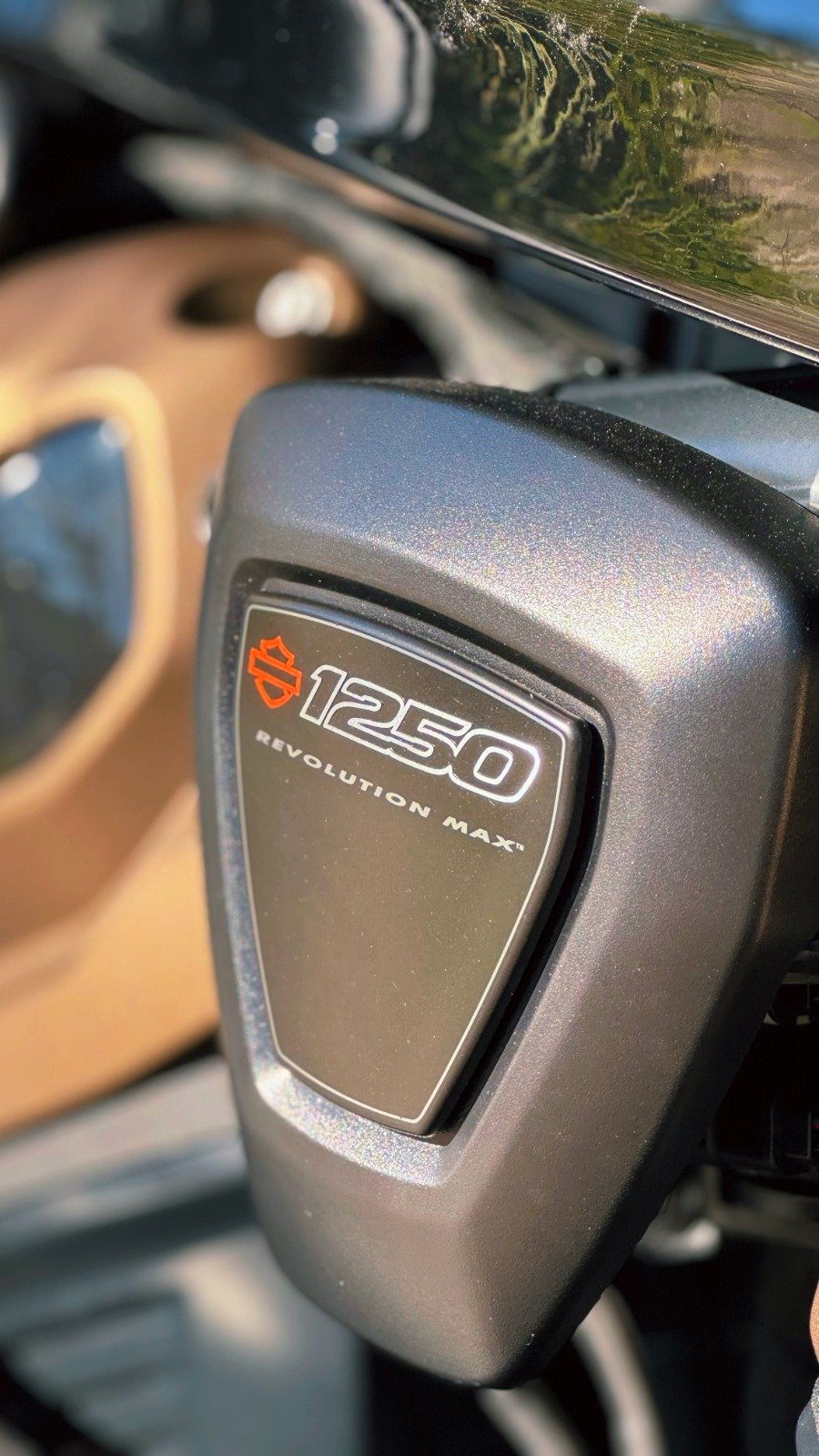 HARLEY DAVIDSON SPORTSTER S 1250 2024 - Imagem 10