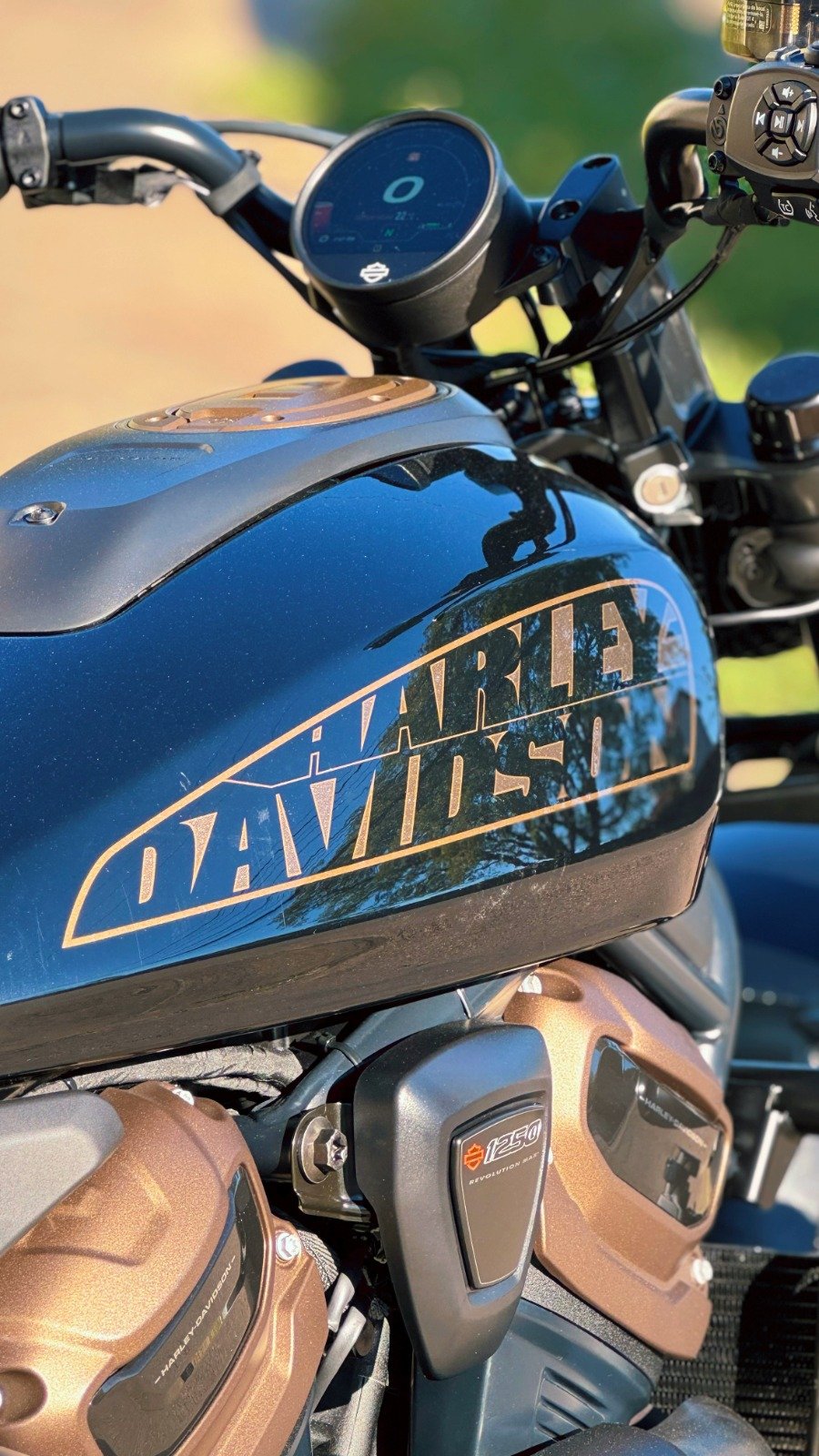 HARLEY DAVIDSON SPORTSTER S 1250 2024 - Imagem 6