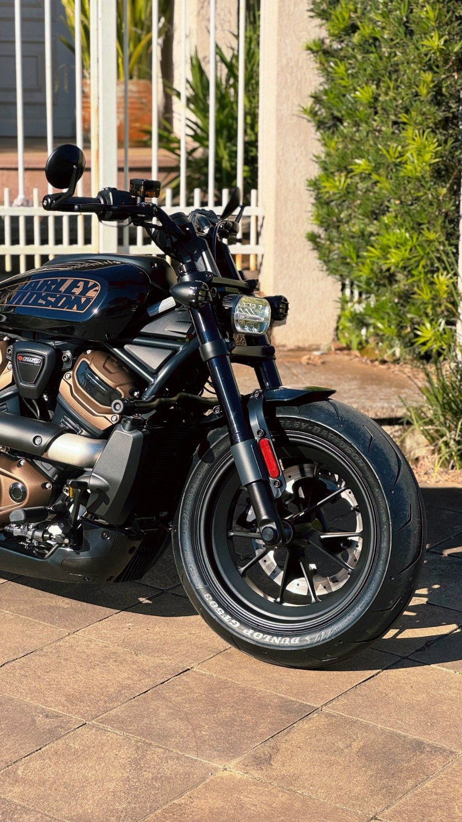 HARLEY DAVIDSON SPORTSTER S 1250 2024 - Imagem 2