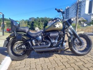 HARLEY-DAVIDSON SOFTAIL SLIM 2018